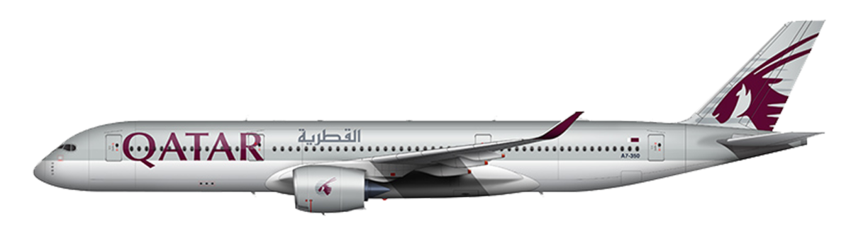 Qatar Airways Plane